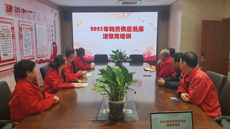 小标题：考研辅导机构的重要性