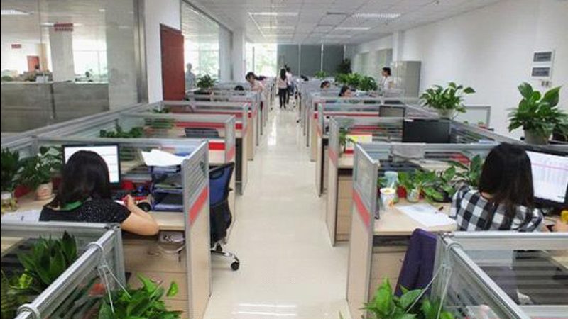 二建协议班与普通班，通过率差异揭秘